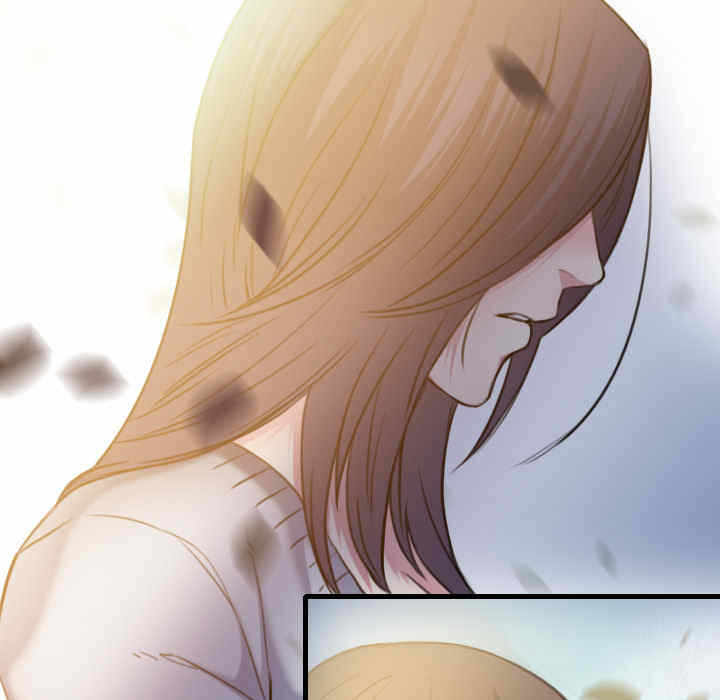 第12张