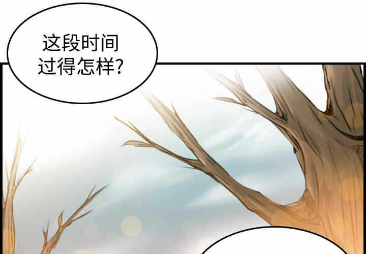 第6张
