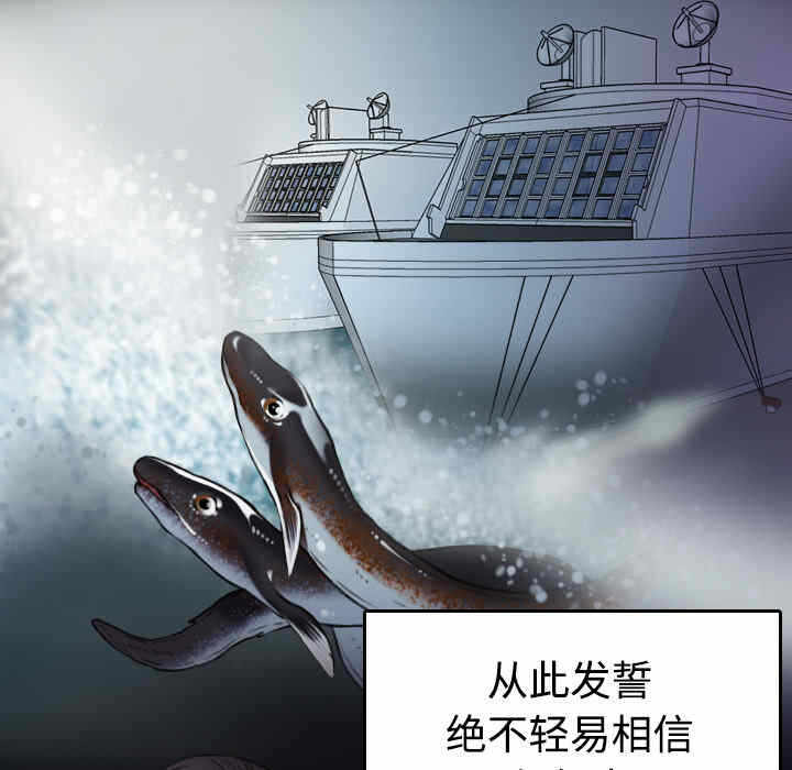 第48张
