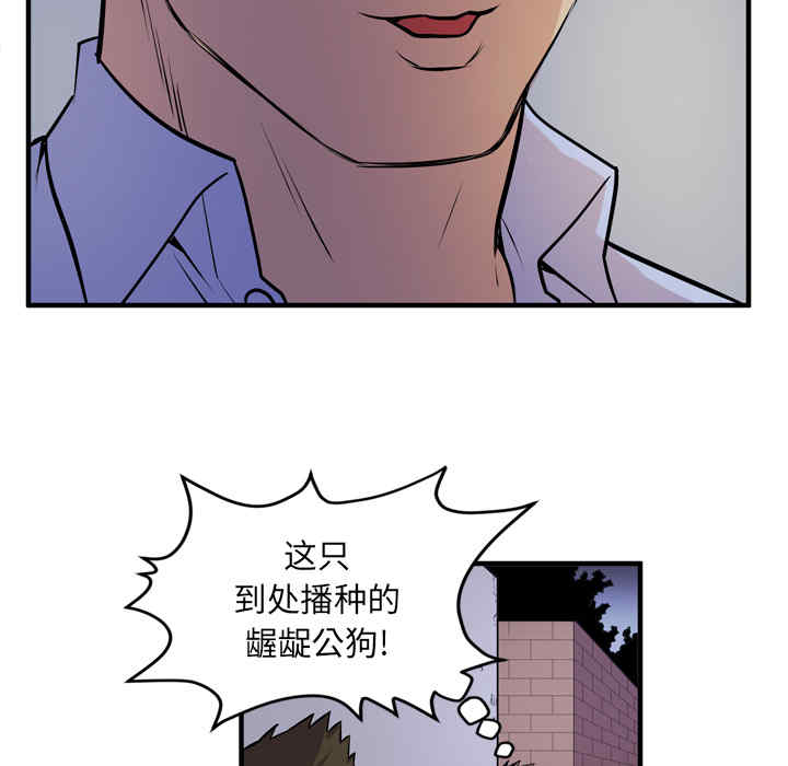 第48张