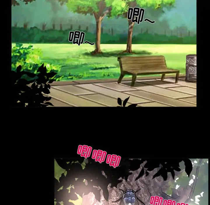 第29张