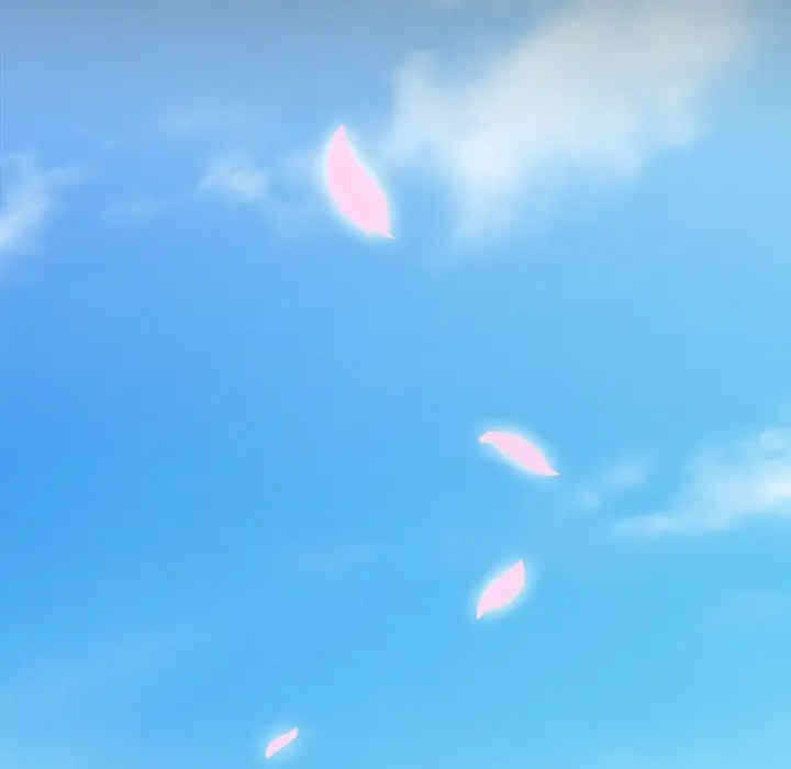 第61张