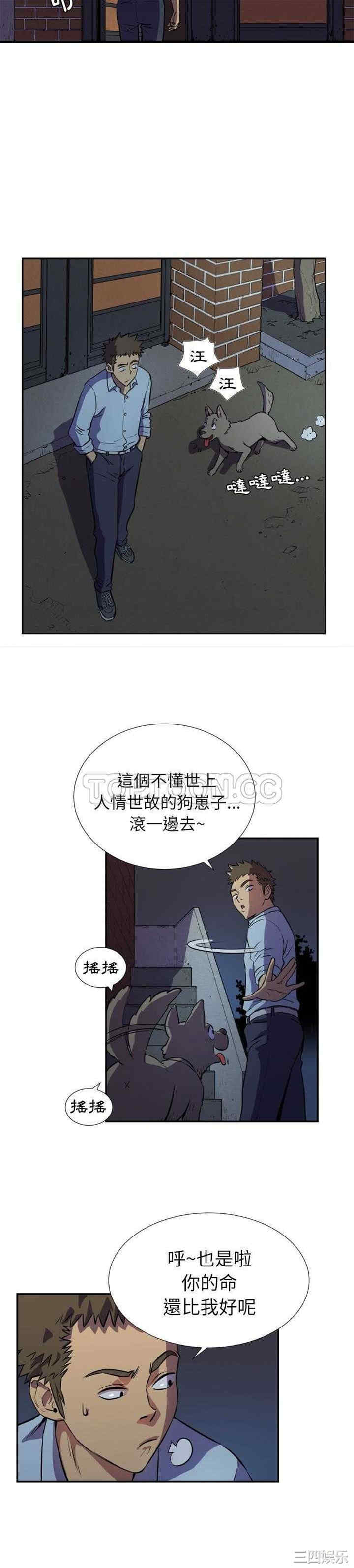 13.jpg