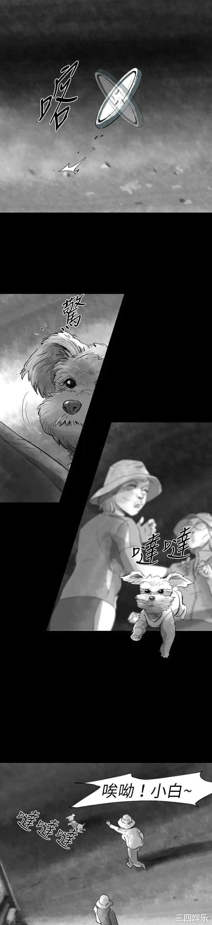 第24张