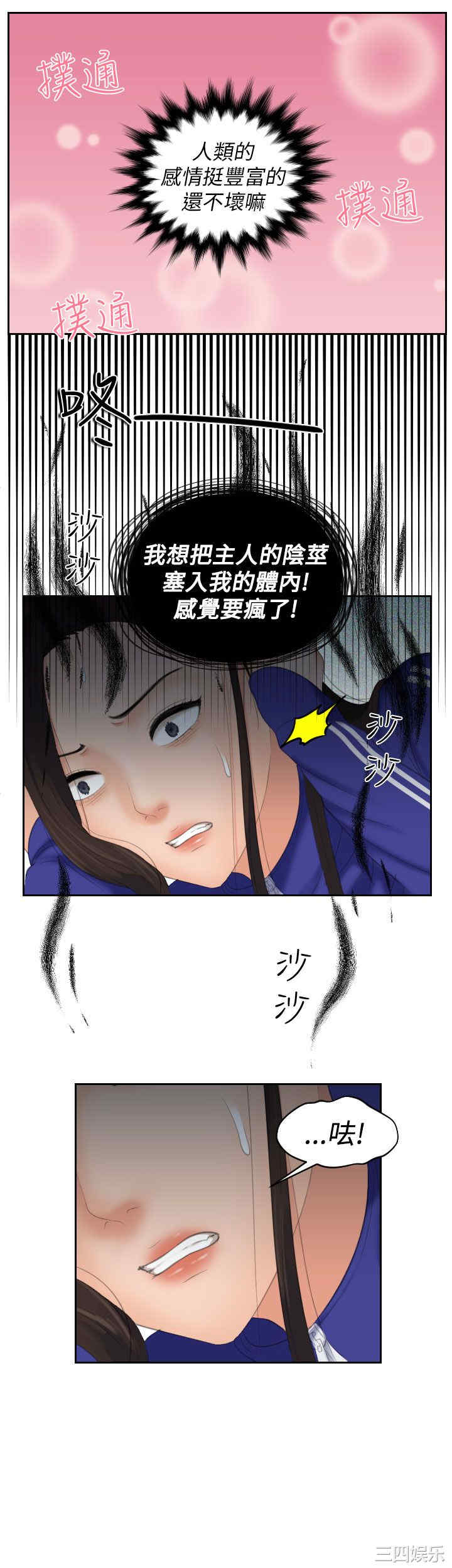 第19张
