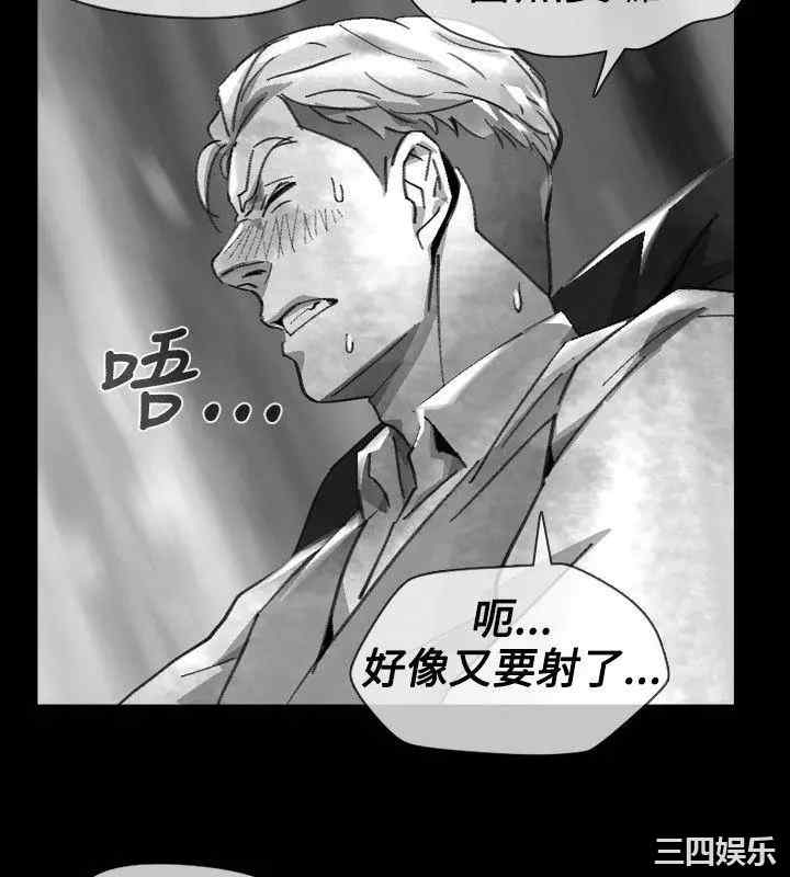 第12张