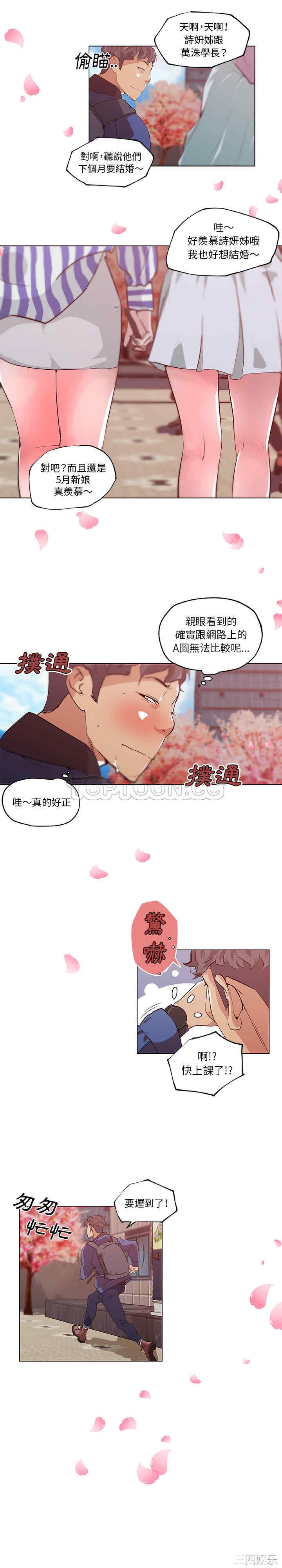 第3张