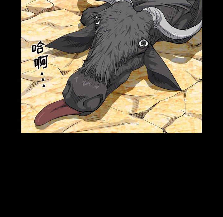 第58张