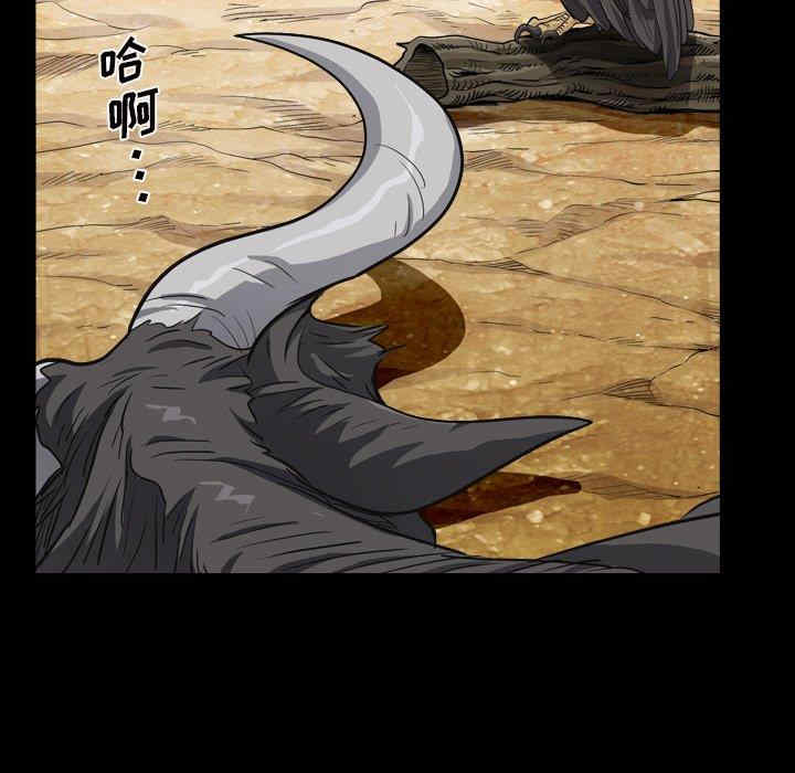 第62张