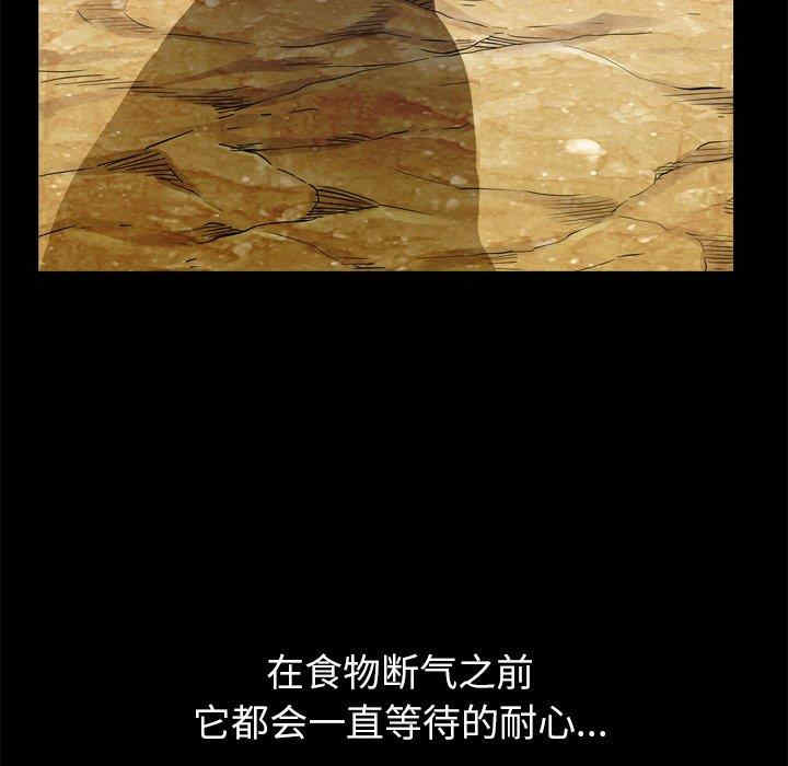 第97张