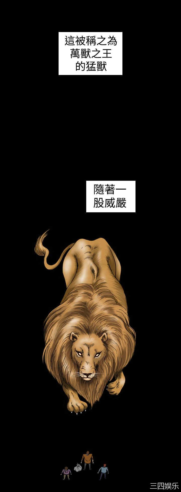 第22张