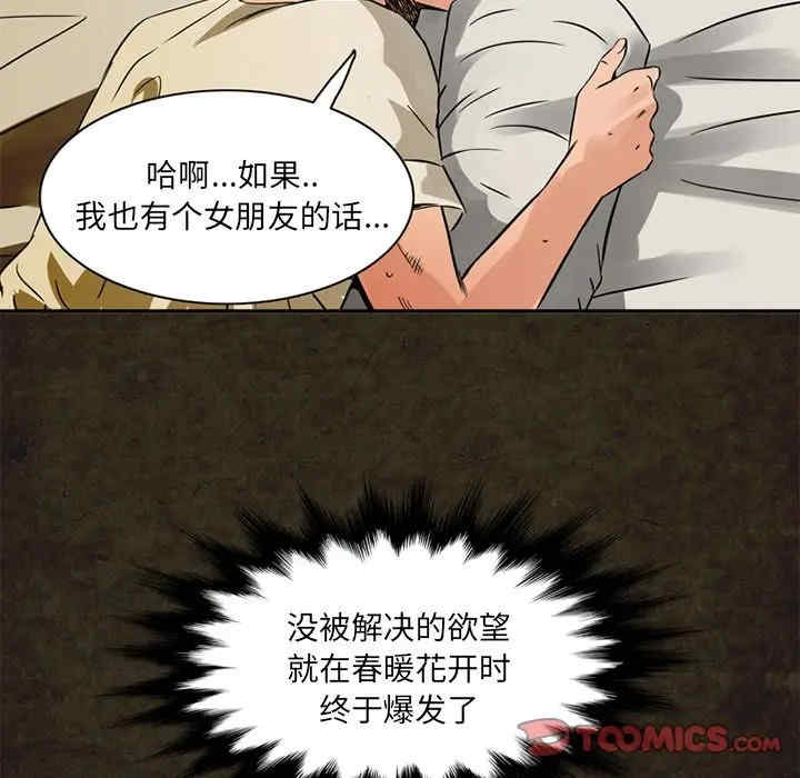 第53张