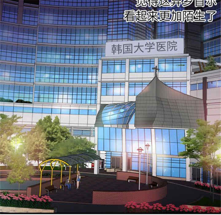第41张