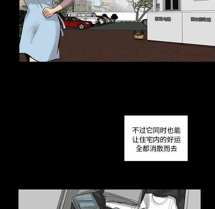 第32张