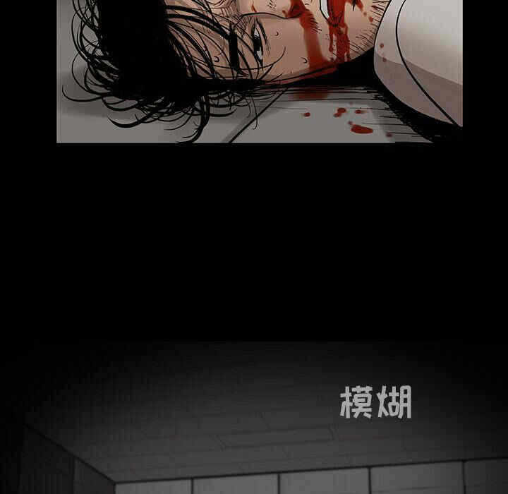 第48张