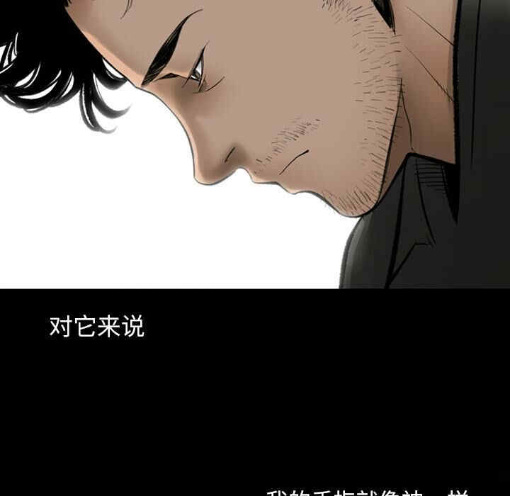 第9张