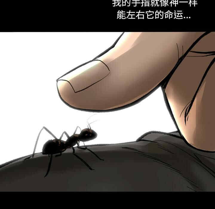 第12张