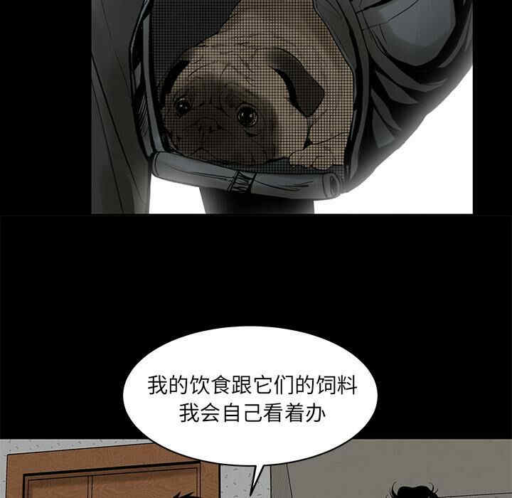 第111张