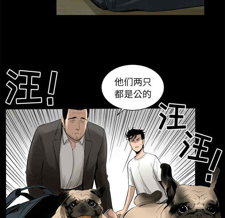 第6张