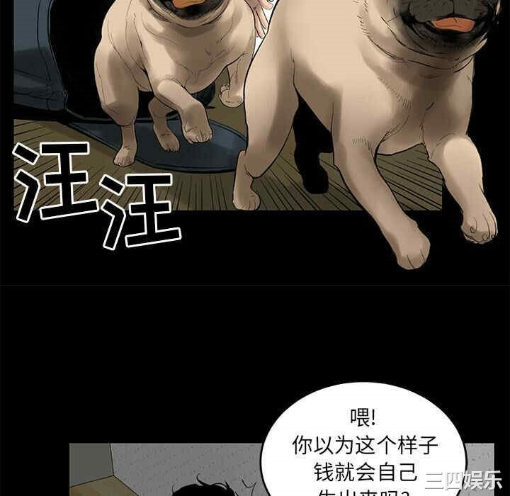 第7张