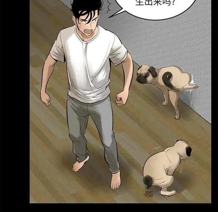第9张