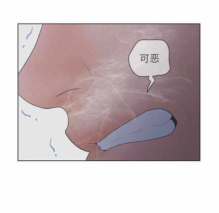 第12张