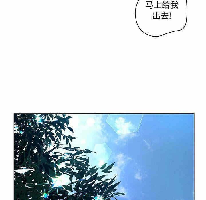 第96张