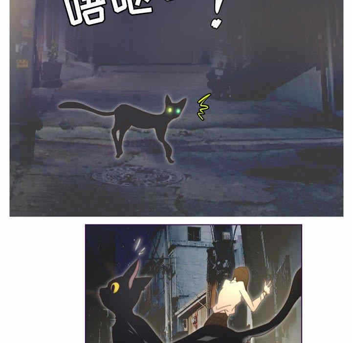 第56张