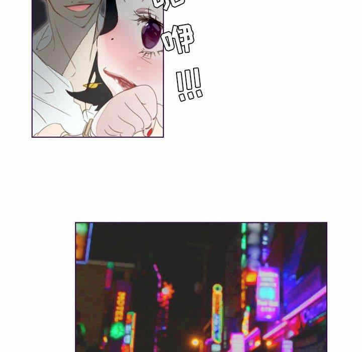 第61张