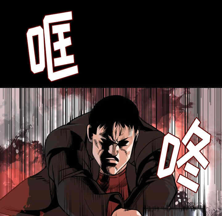 第3张