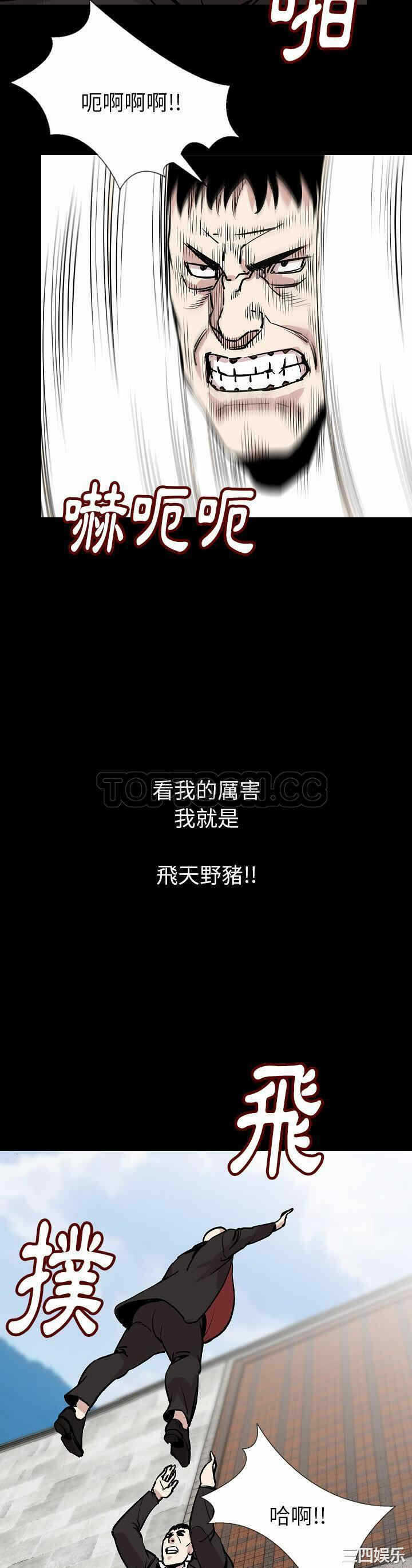 第11张