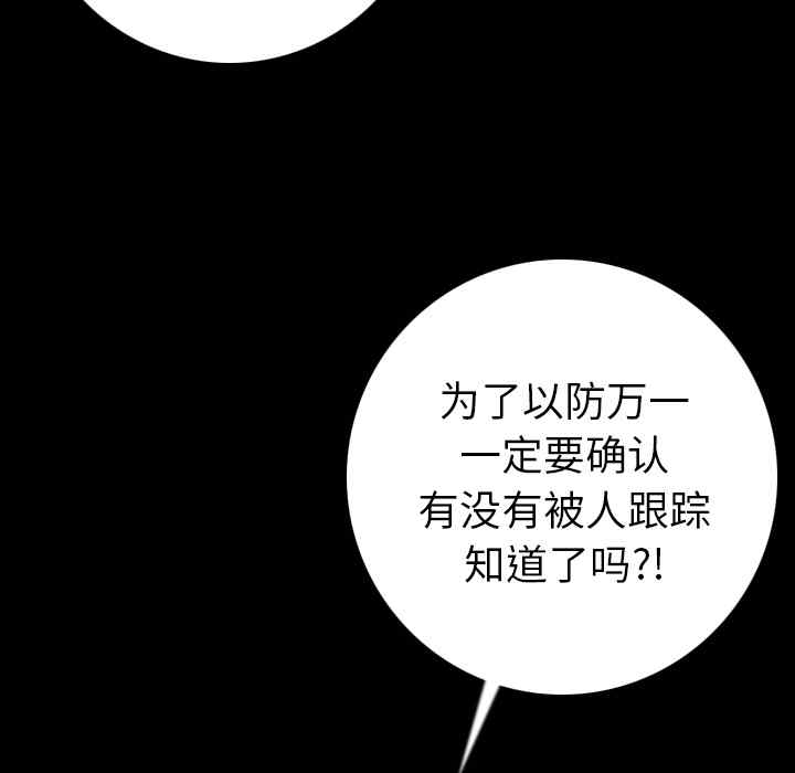 第117张