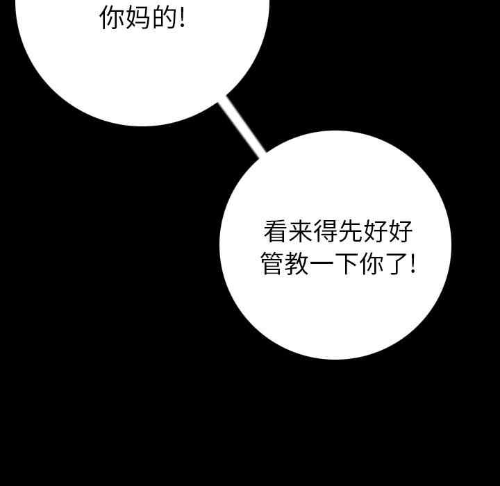 第13张
