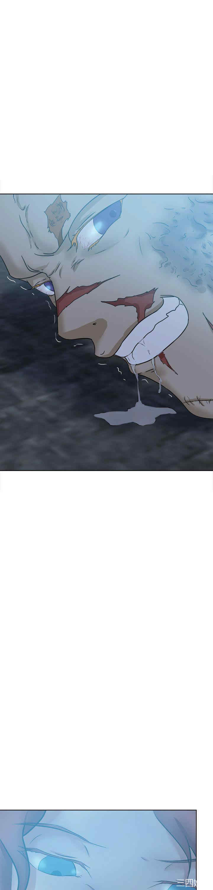 第21张