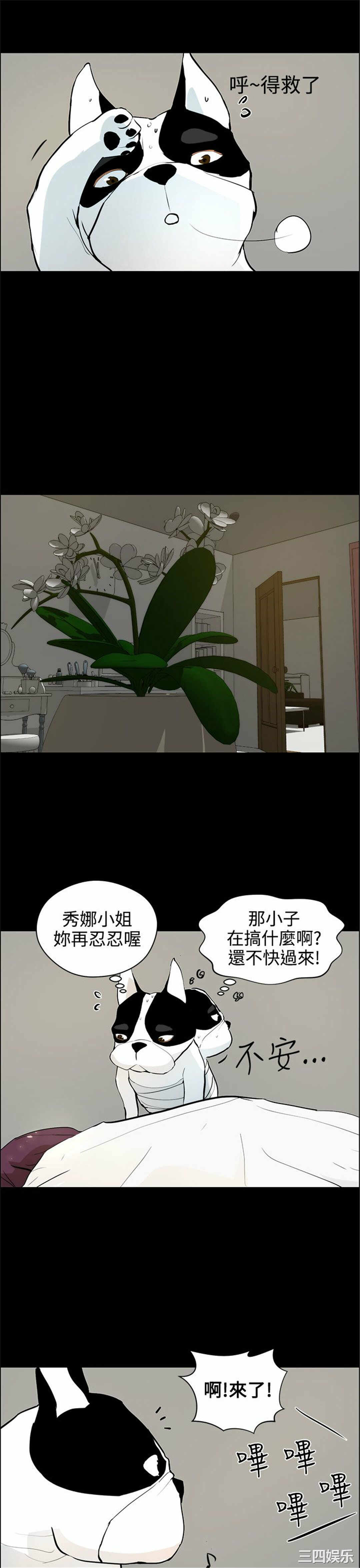 第9张