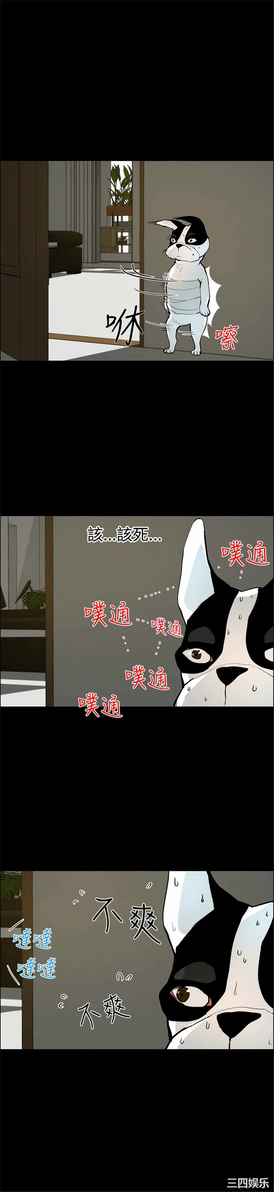 第11张