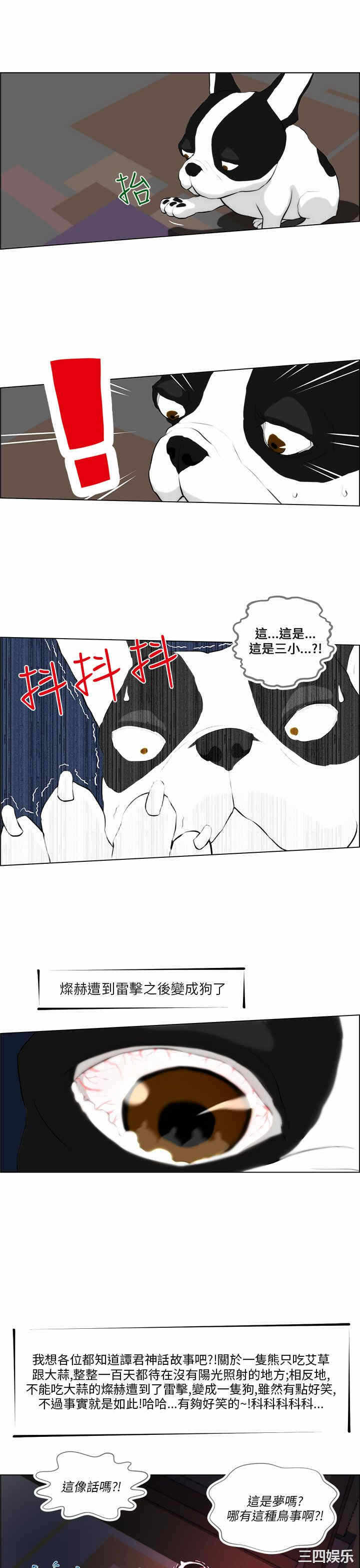 第19张