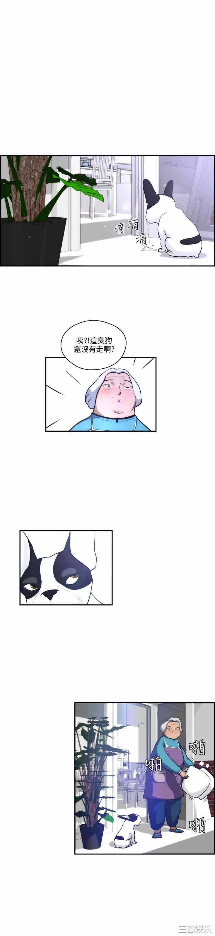 第19张