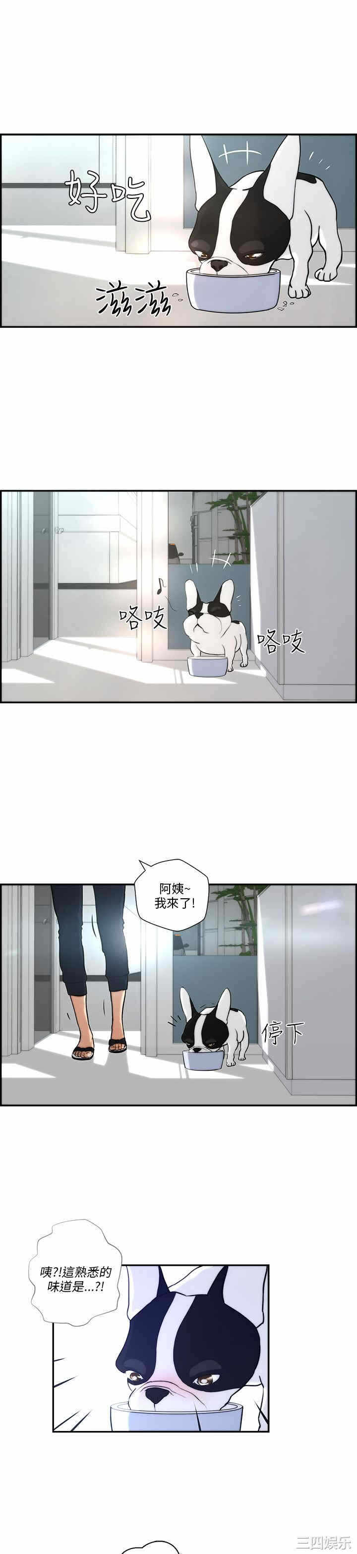 第21张