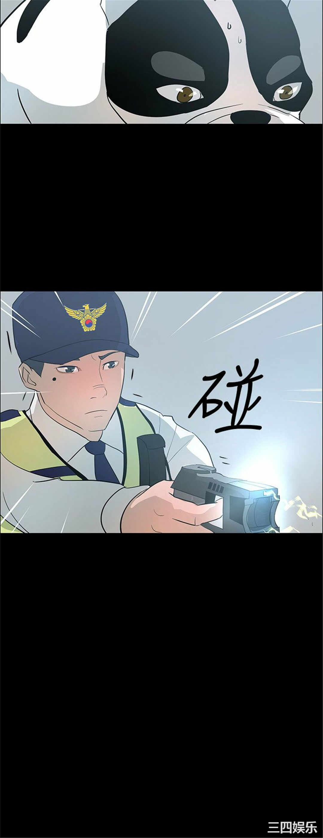 第21张