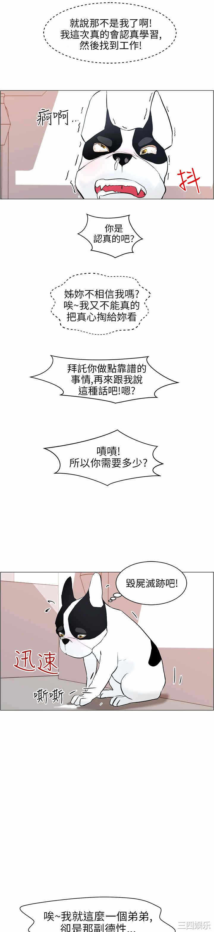 第21张