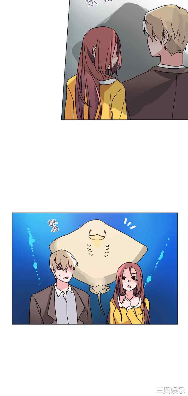 第12张