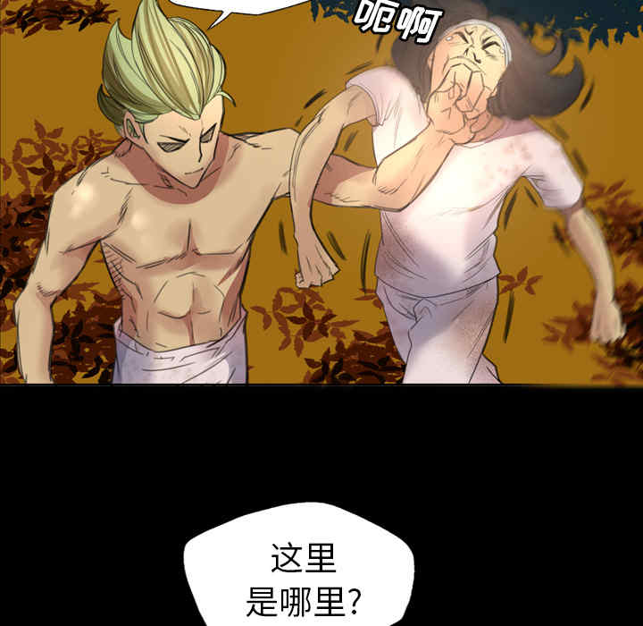 第51张