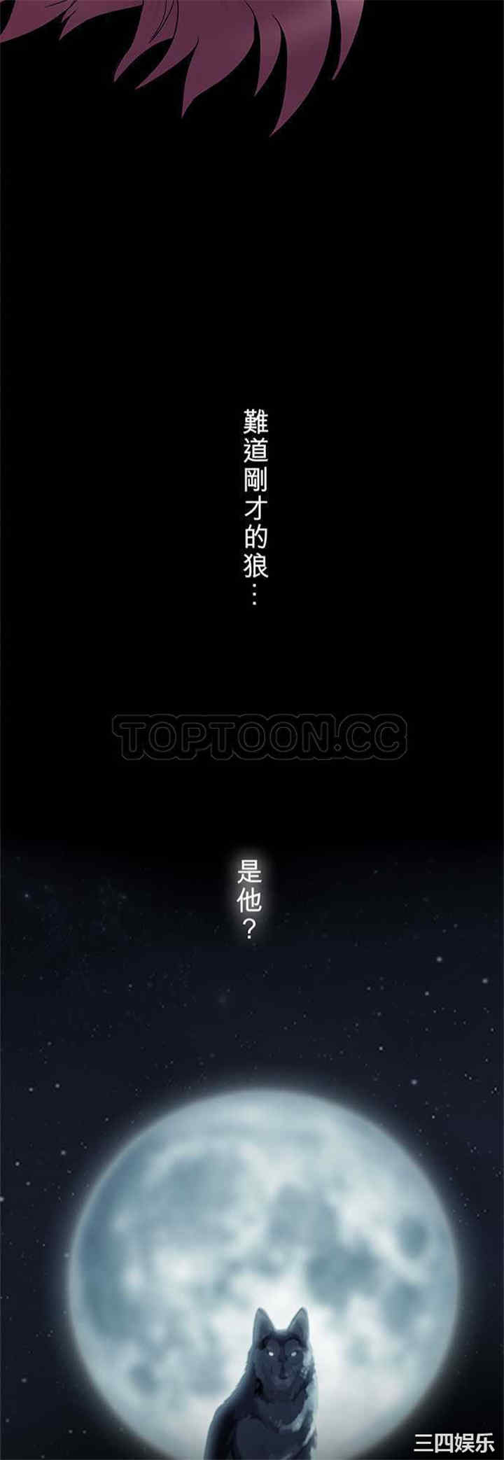 第21张