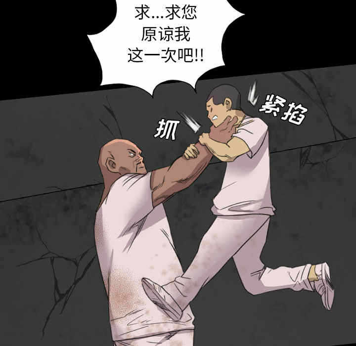 第52张