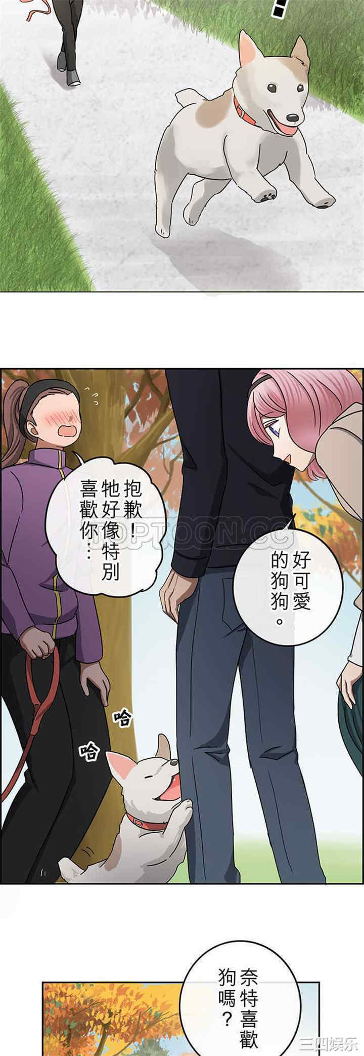 第11张