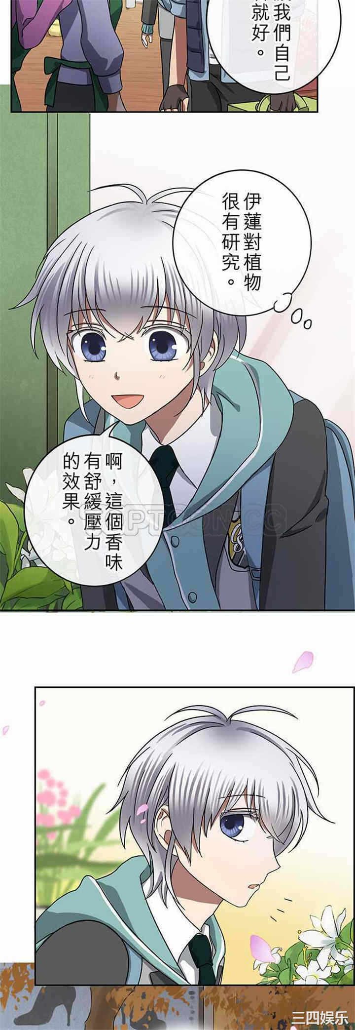 第20张