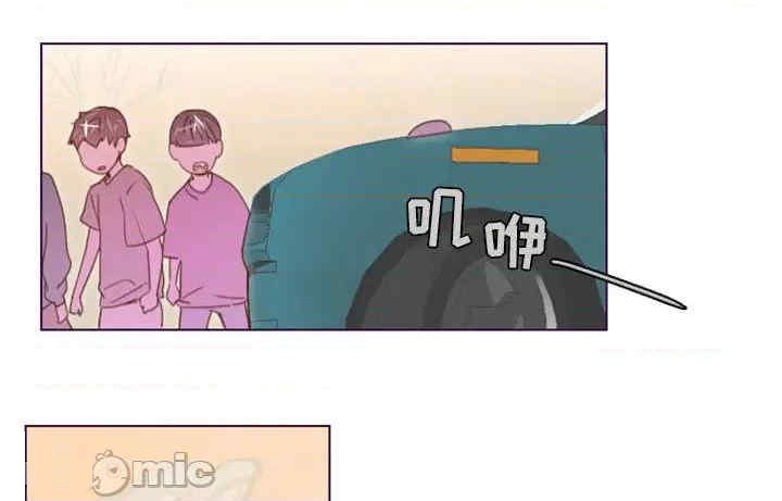 第13张
