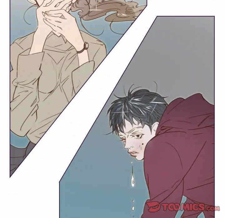第30张