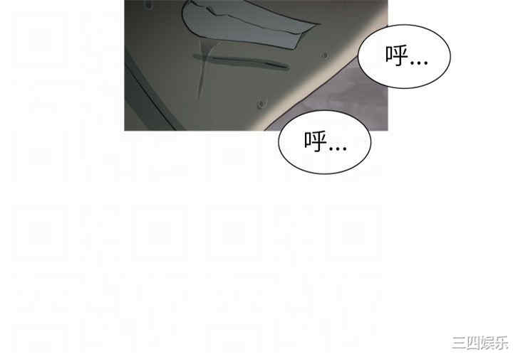 第11张